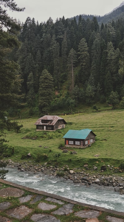 Green and brown house in the green grass
